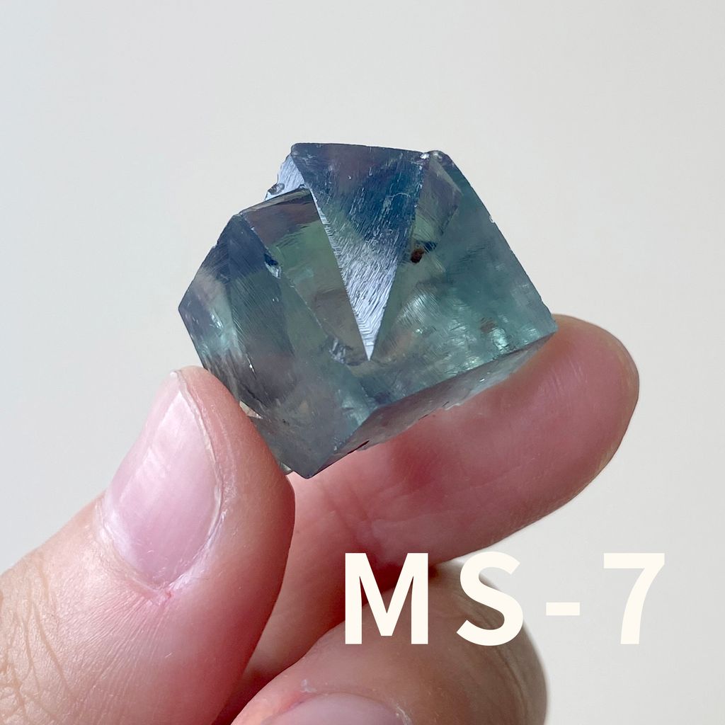 MS (7)