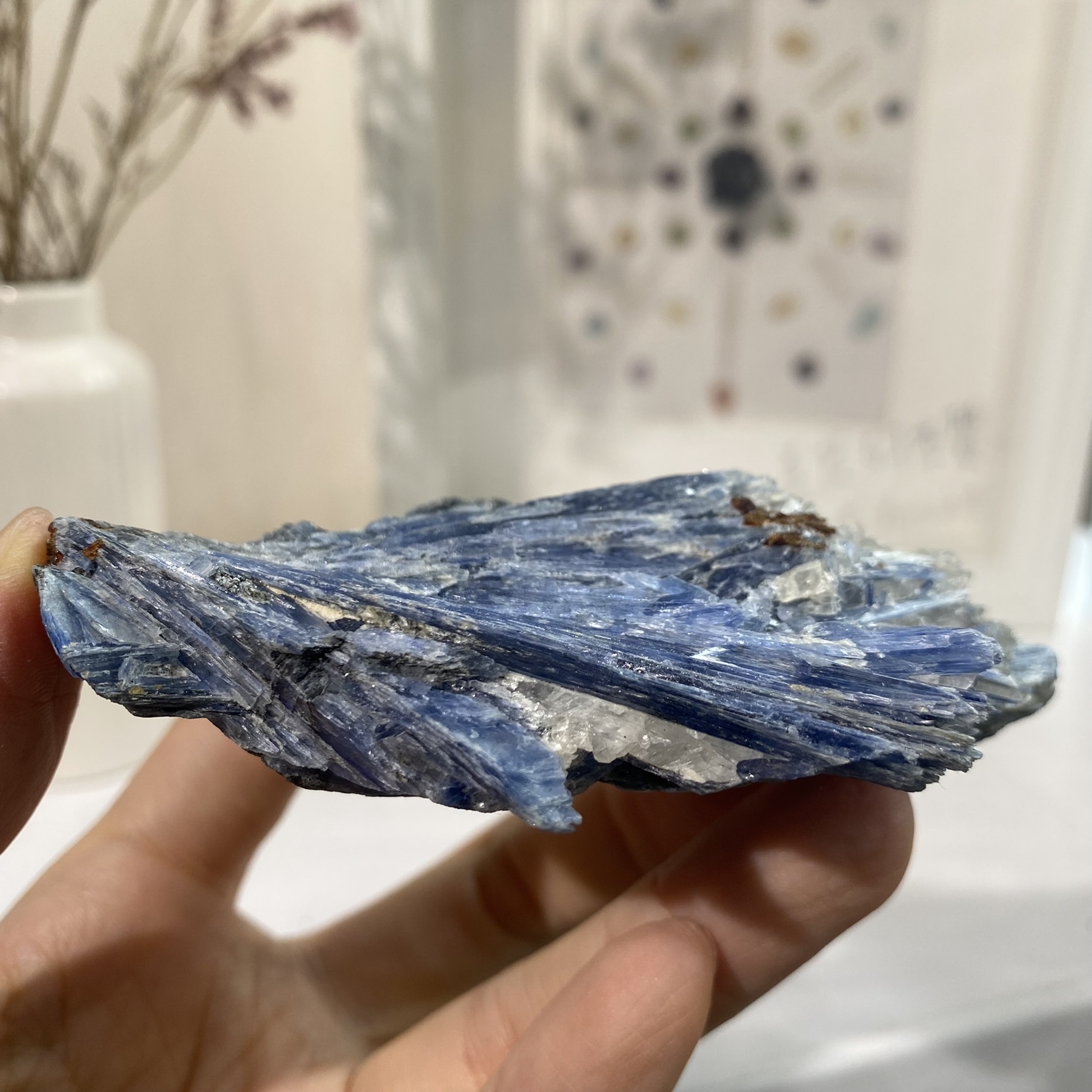 藍晶石原礦1D 153.8g 21K57001D – 宇宙合作社｜水晶礦物標本國際