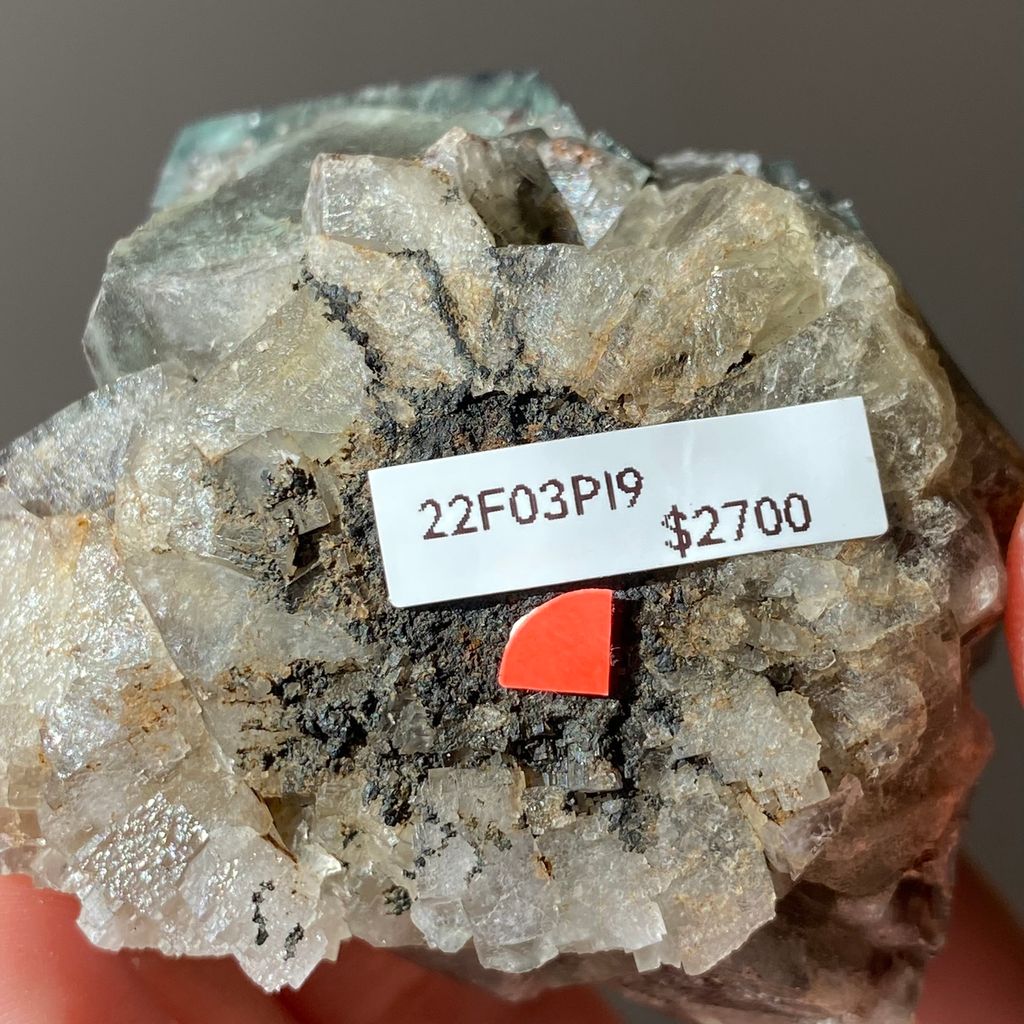 22F03PI9 英國日光螢石 167.5g $2700 (7).JPEG