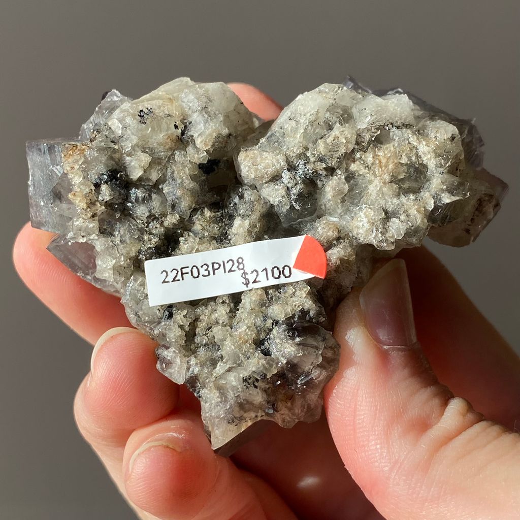 22F03PI28 英國日光螢石 111.3g $2100 (8).JPEG