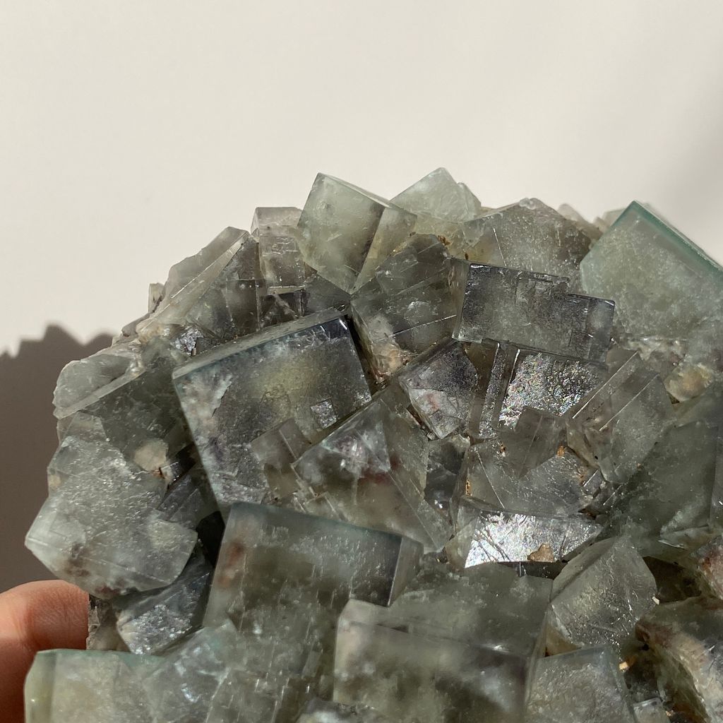 異色毒藤 I 英國日光螢石 806g $9350 22I03PI2 (12)