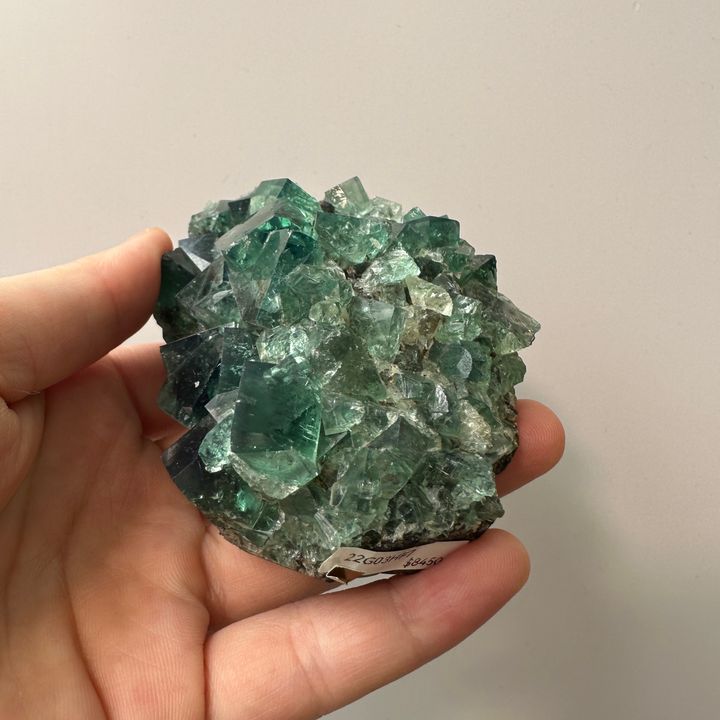 隱藏之森 I 英國日光螢石 249.4g $8450 22G03HF7 (2)