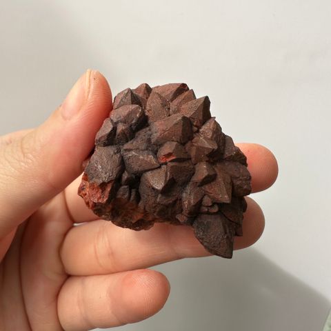 22E18001C摩洛哥紅仙人掌晶簇  37.5g $1000 (1)