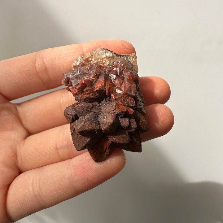 22E18001D 摩洛哥紅仙人掌晶簇 30.9g $900  (1)