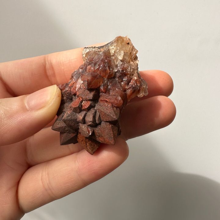 22E18001D 摩洛哥紅仙人掌晶簇 30.9g $900  (2)