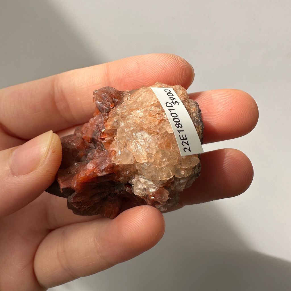 22E18001D 摩洛哥紅仙人掌晶簇 30.9g $900  (5)