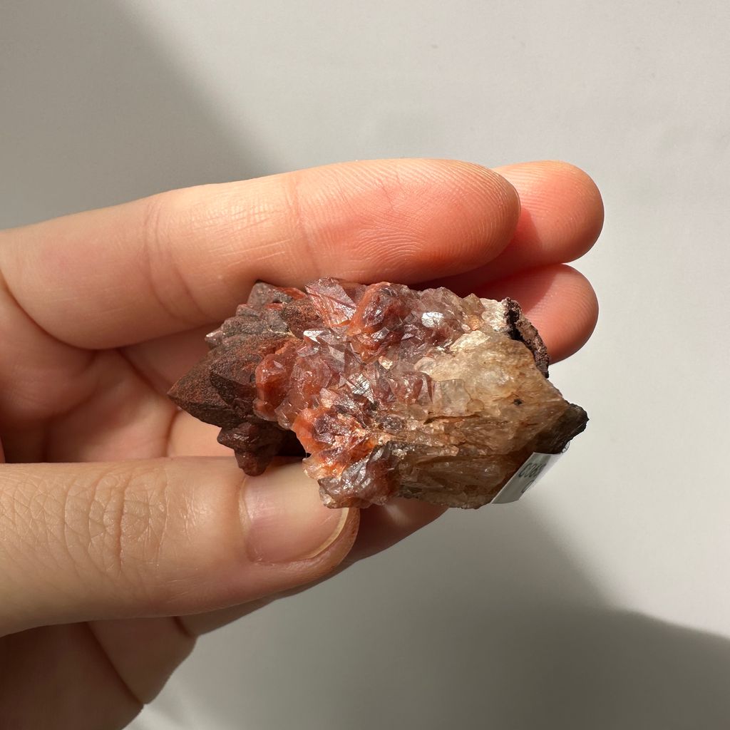 22E18001D 摩洛哥紅仙人掌晶簇 30.9g $900  (6)