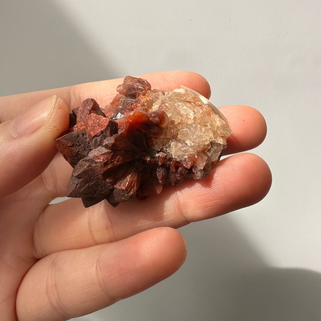 22E18001D 摩洛哥紅仙人掌晶簇 30.9g $900  (4)