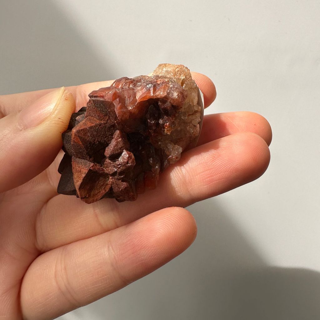 22E18001D 摩洛哥紅仙人掌晶簇 30.9g $900  (3)