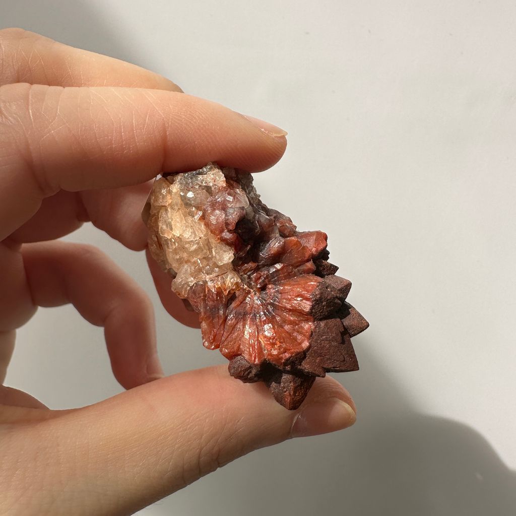 22E18001D 摩洛哥紅仙人掌晶簇 30.9g $900  (8)