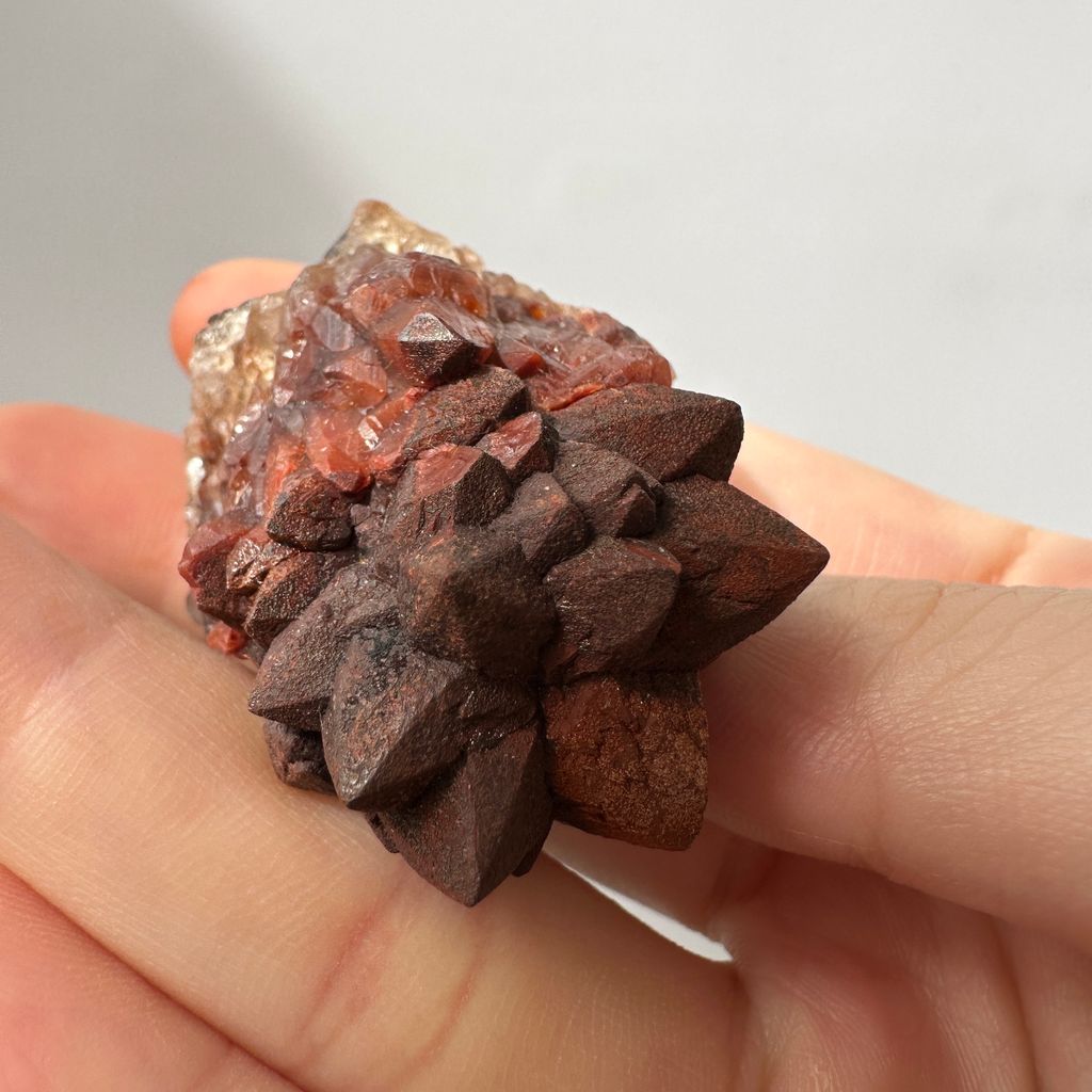22E18001D 摩洛哥紅仙人掌晶簇 30.9g $900  (10)