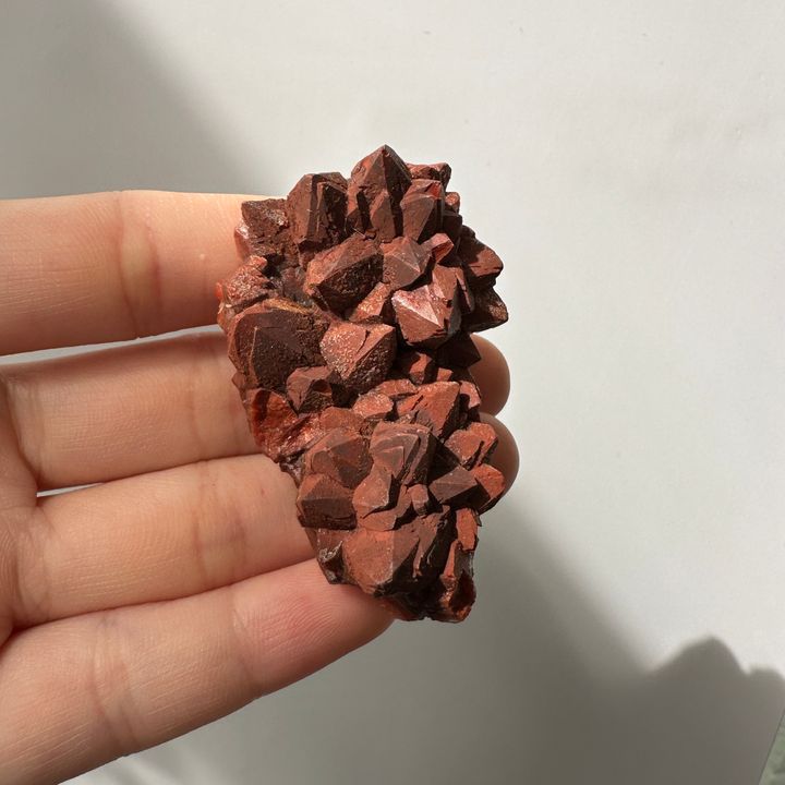 22E18001F摩洛哥紅仙人掌晶簇 36.2g $1100 (1)