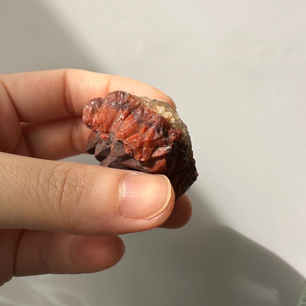 22E18001G 摩洛哥紅仙人掌晶簇 33g $1000 (6)