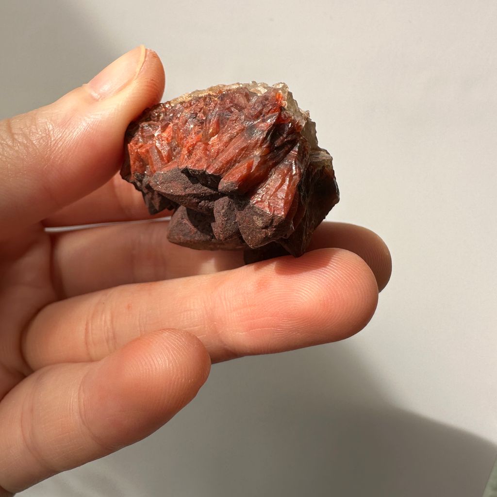 22E18001G 摩洛哥紅仙人掌晶簇 33g $1000 (5)