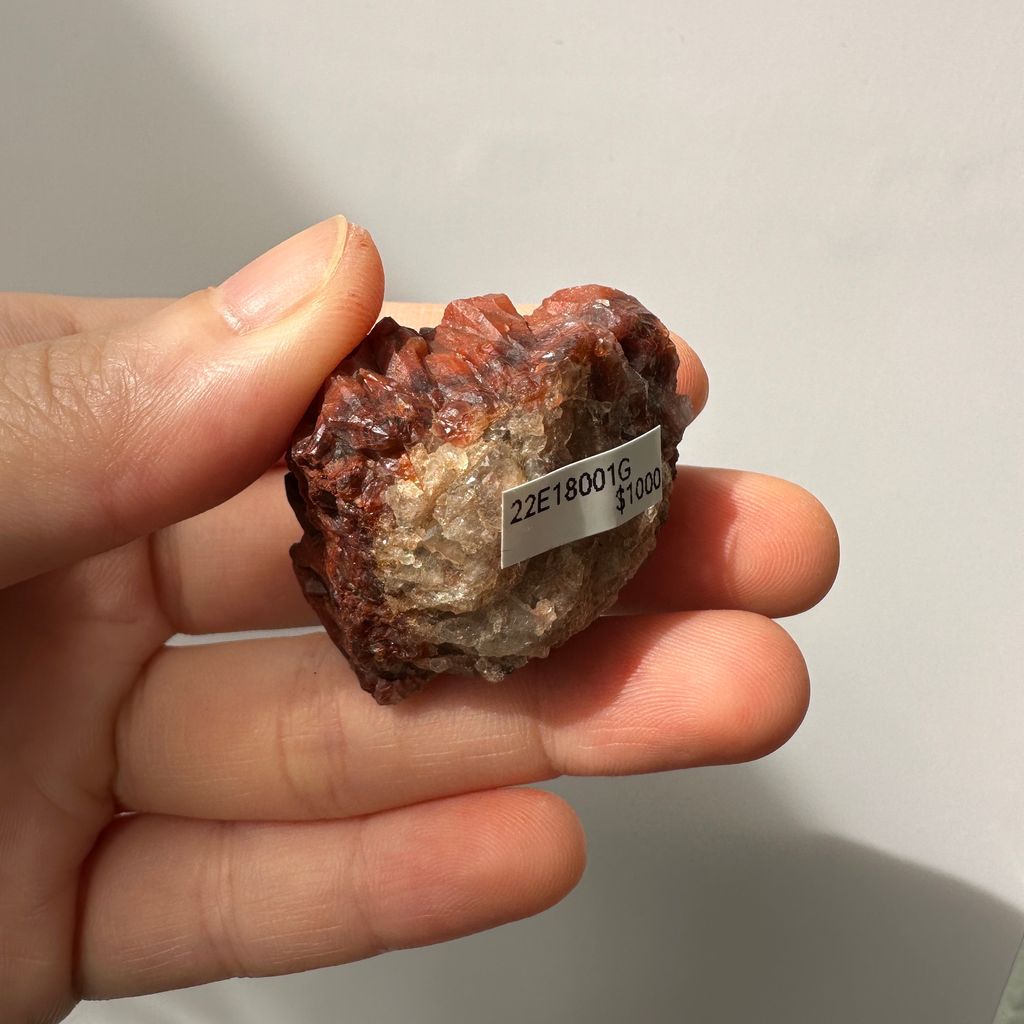 22E18001G 摩洛哥紅仙人掌晶簇 33g $1000 (3)