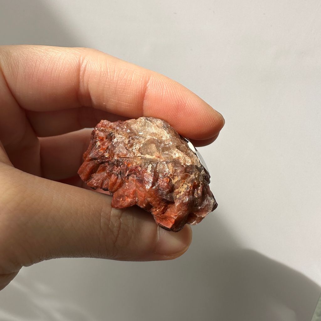 22E18001G 摩洛哥紅仙人掌晶簇 33g $1000 (8)