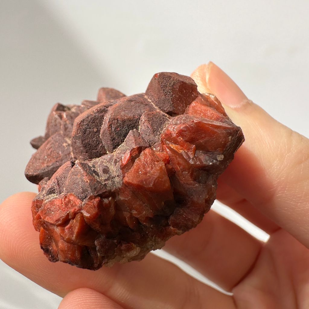 22E18001G 摩洛哥紅仙人掌晶簇 33g $1000 (9)
