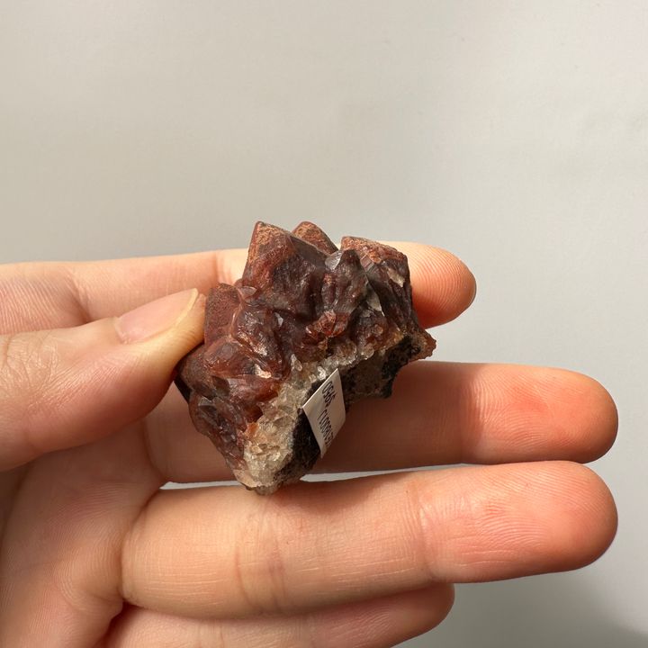 22E18001J摩洛哥紅仙人掌晶簇 28.8g $950 (2)