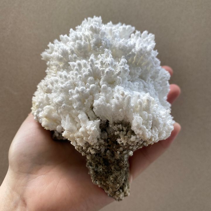 23E136A 水鋅礦 404.5g $1600 (1)
