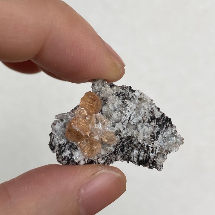 23E04003B 加拿大魁北克香檳色石榴石 3.1g $1800 (2)