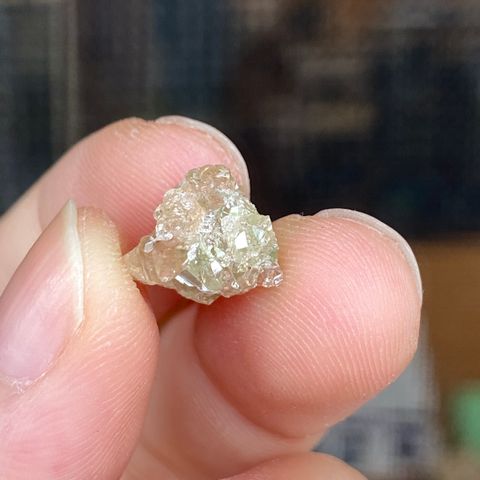 23E04005H 加拿大魁北克香檳色石榴石共生符山石 0.9g $600 (11)