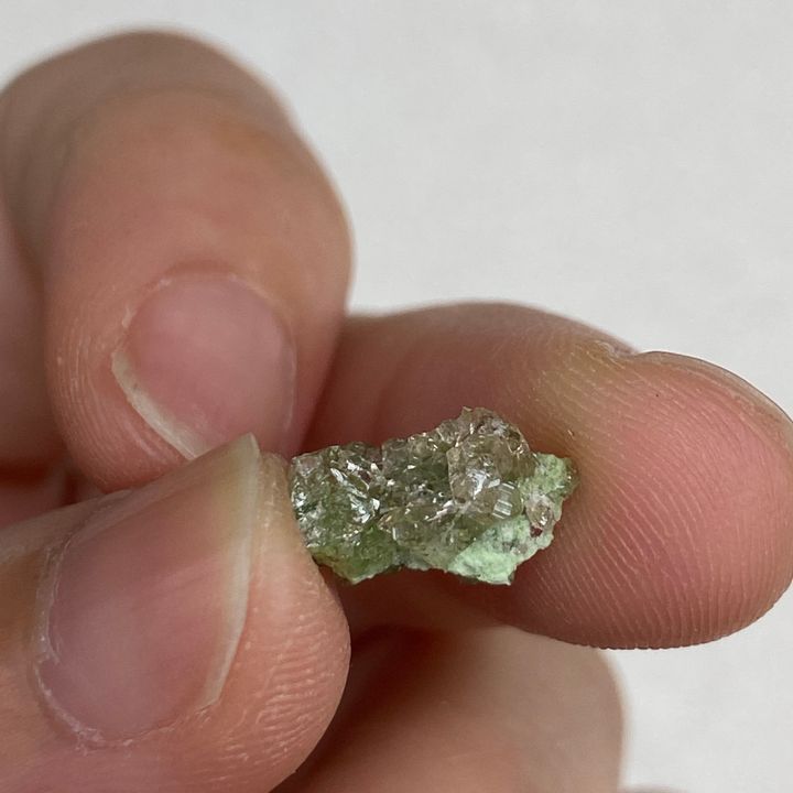 23E04005J 加拿大魁北克香檳色石榴石共生符山石 0.5g $400 (11)
