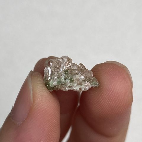 23E04005K 加拿大魁北克香檳色石榴石共生符山石 0.9g $600 (11)