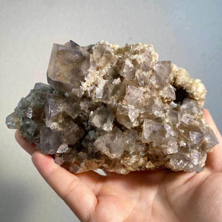 公牛靜脈｜英國日光螢石 22K03BVA2 707 (1)