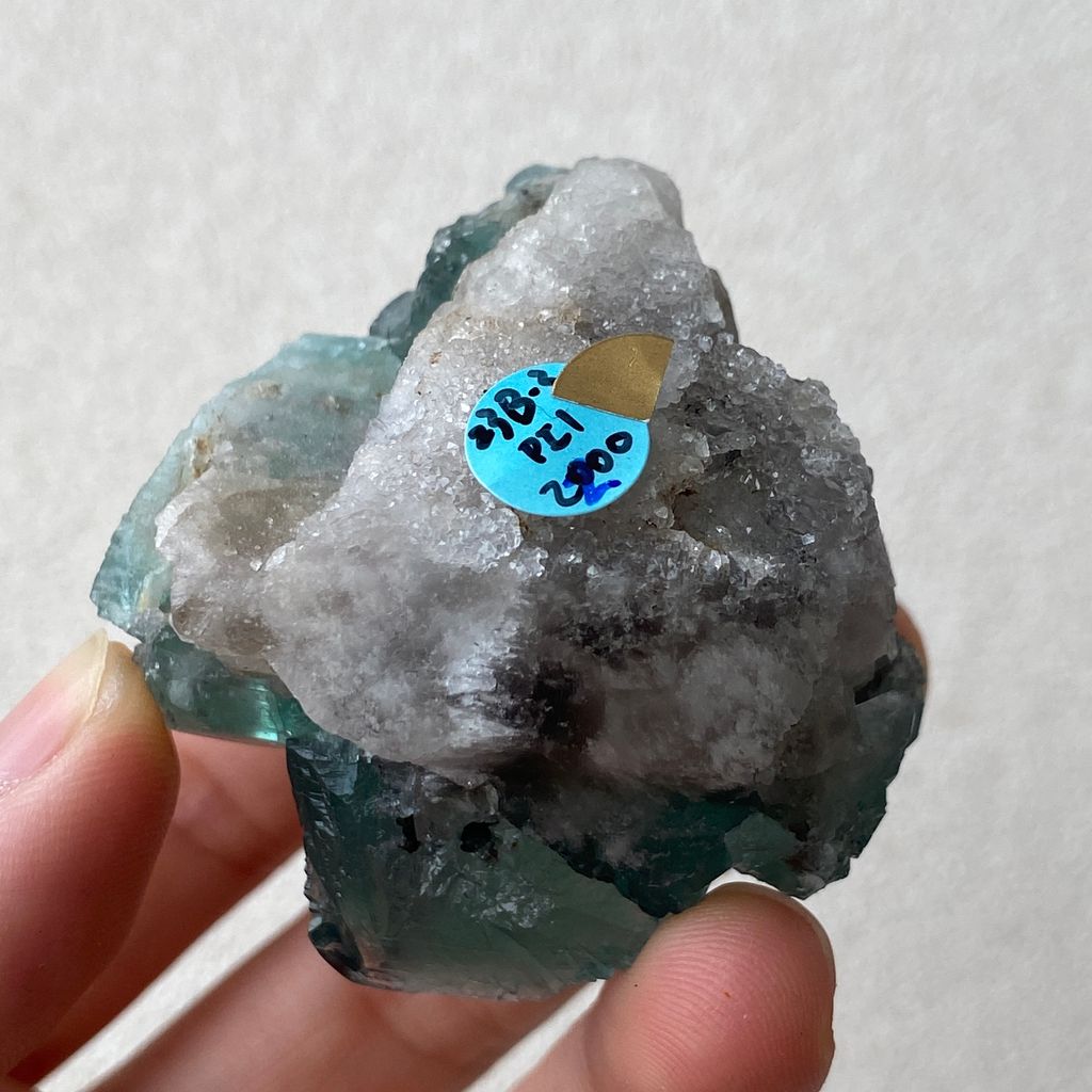 毒藤礦袋｜英國日光螢石 23B03PI1 75.8g  (8)