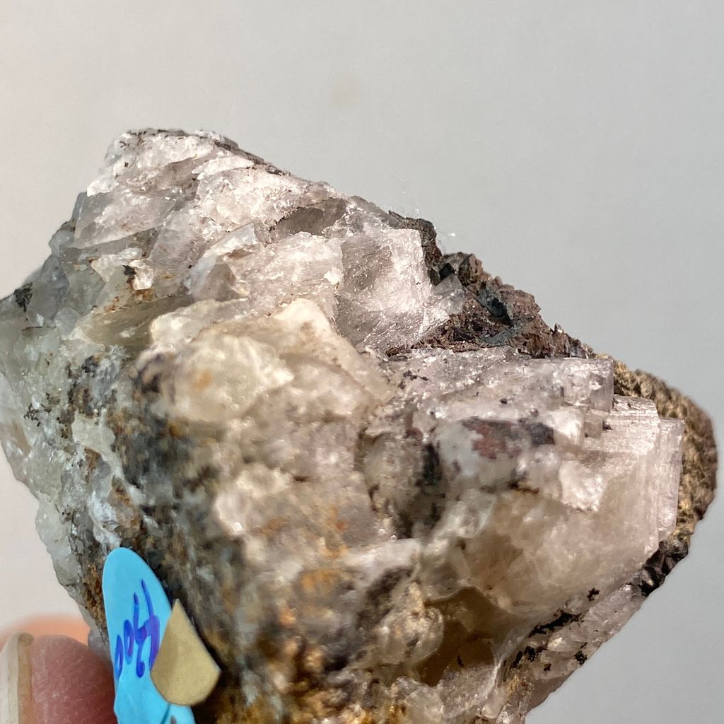 雪莉｜英國日光螢石 精品礦標 23B03STSD (9)