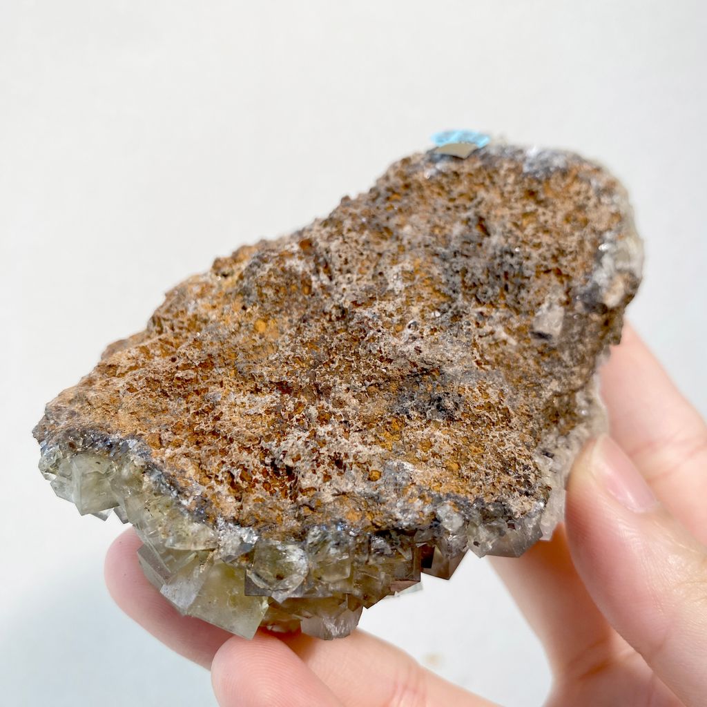 公牛靜脈｜英國日光螢石 精品礦標 23B03BVSF (7)