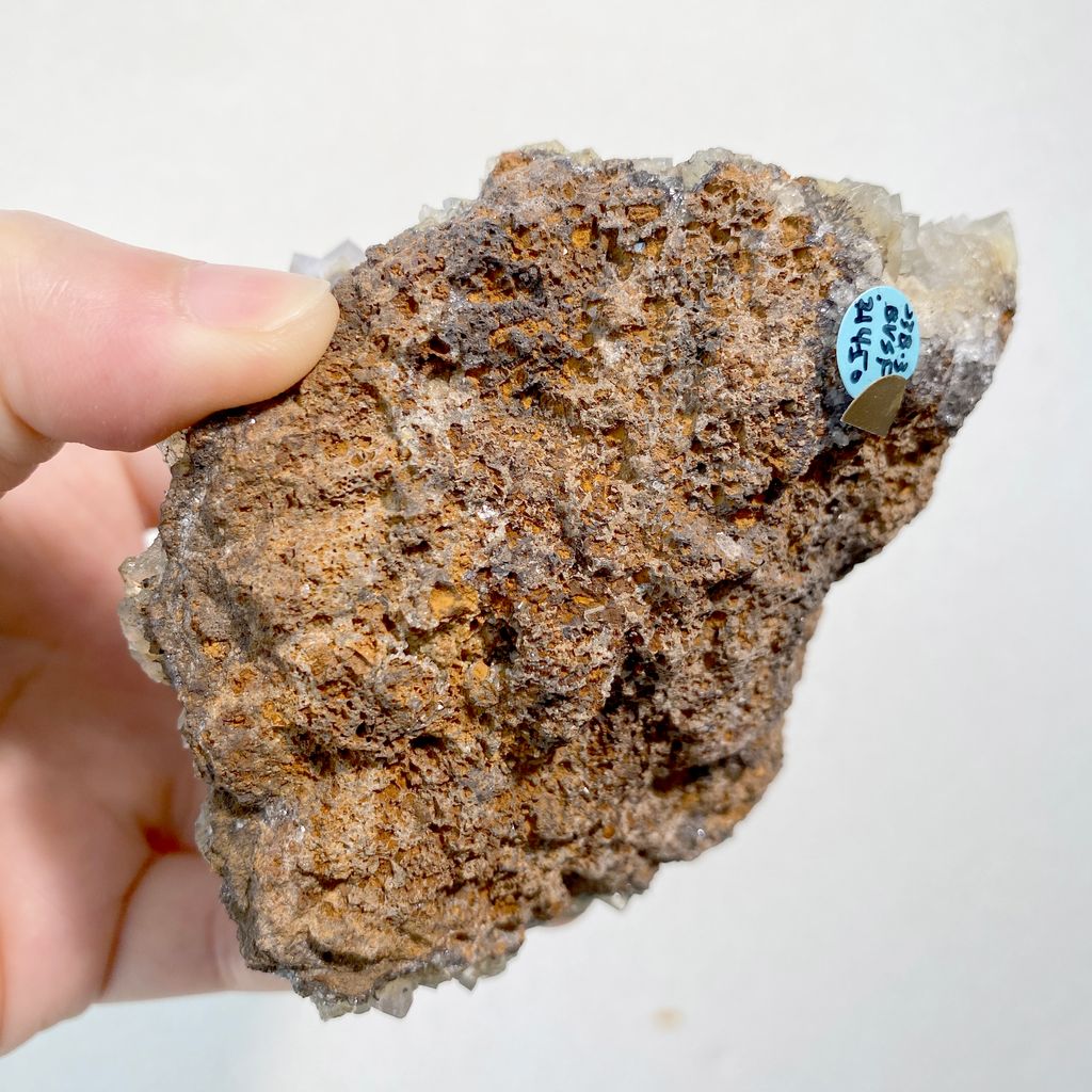 公牛靜脈｜英國日光螢石 精品礦標 23B03BVSF (5)