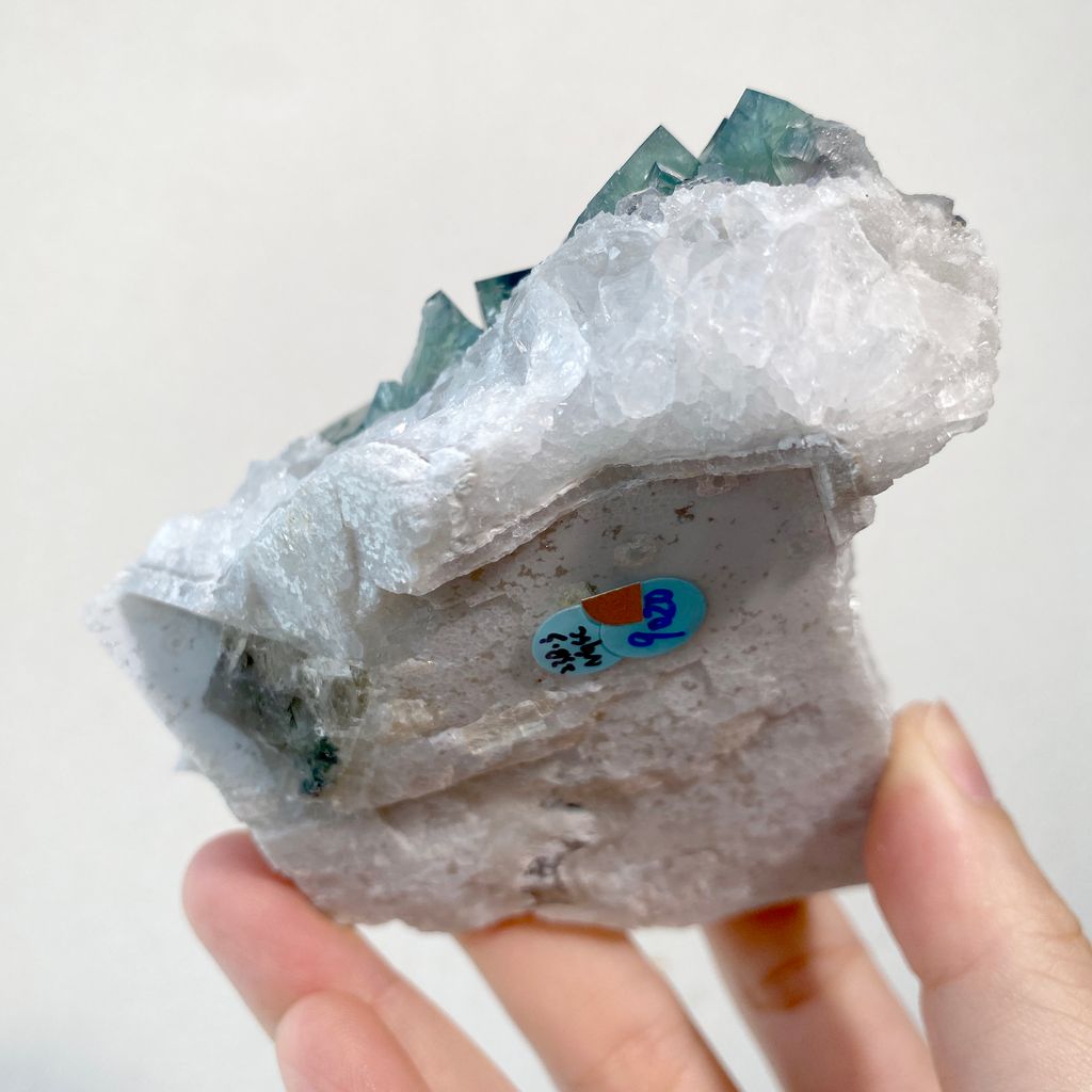 頑皮侏儒英國日光螢石 精品礦標 23B03NGSC (5)