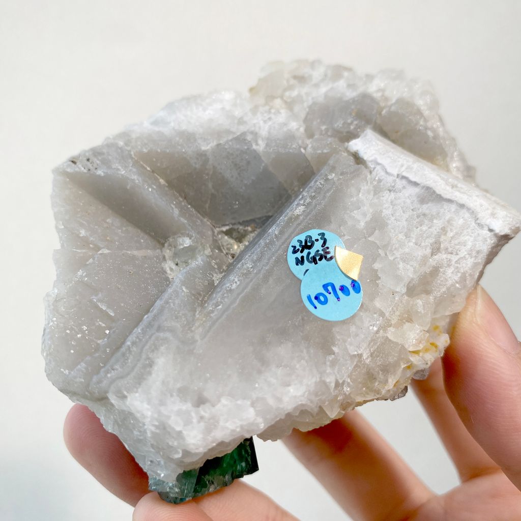 頑皮侏儒英國日光螢石 精品礦標 23B03NGSE (7)