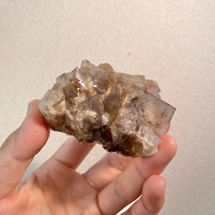 公牛靜脈｜英國日光螢石 23D03BVH9 (1)