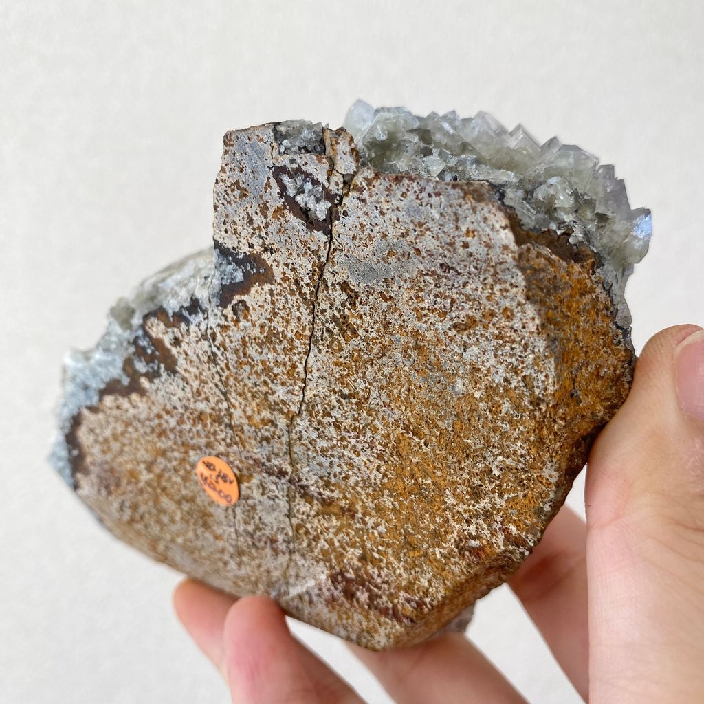 公牛靜脈｜英國日光螢石 23D03BVC3 (5)