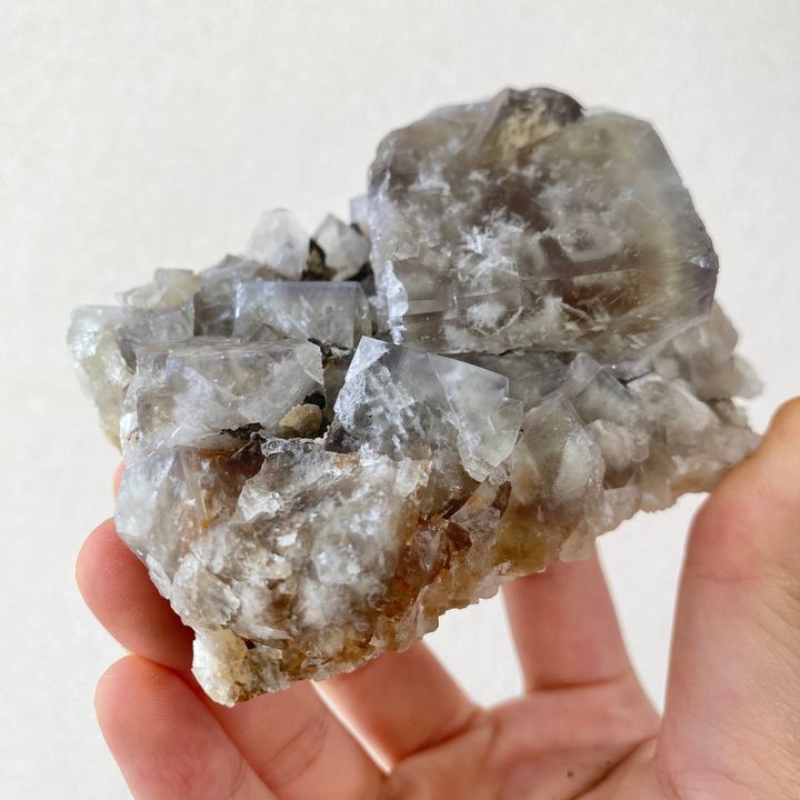 公牛靜脈｜英國日光螢石 23D03BVG1 (2)