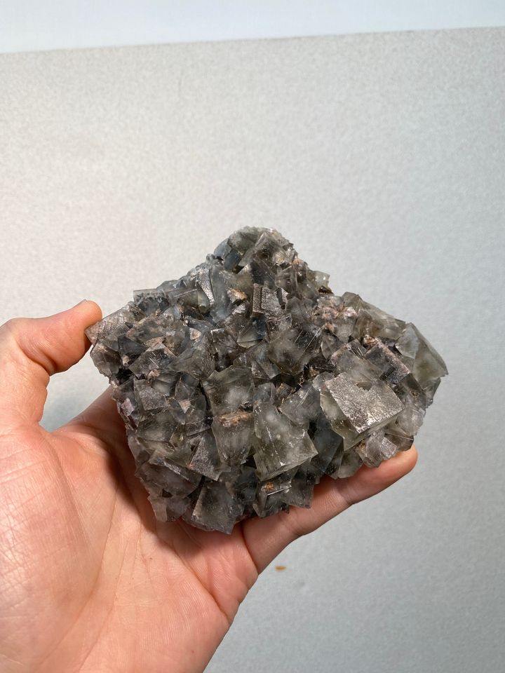 公牛靜脈｜英國日光螢石 23D03BVC1 (1)