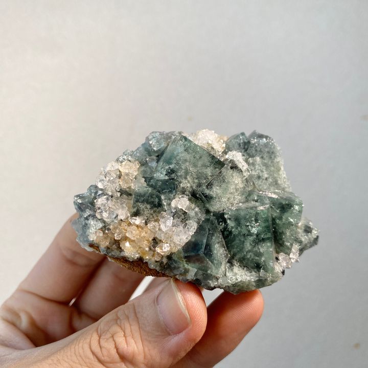 超新星｜英國日光螢石 23D03SNR17 (1)
