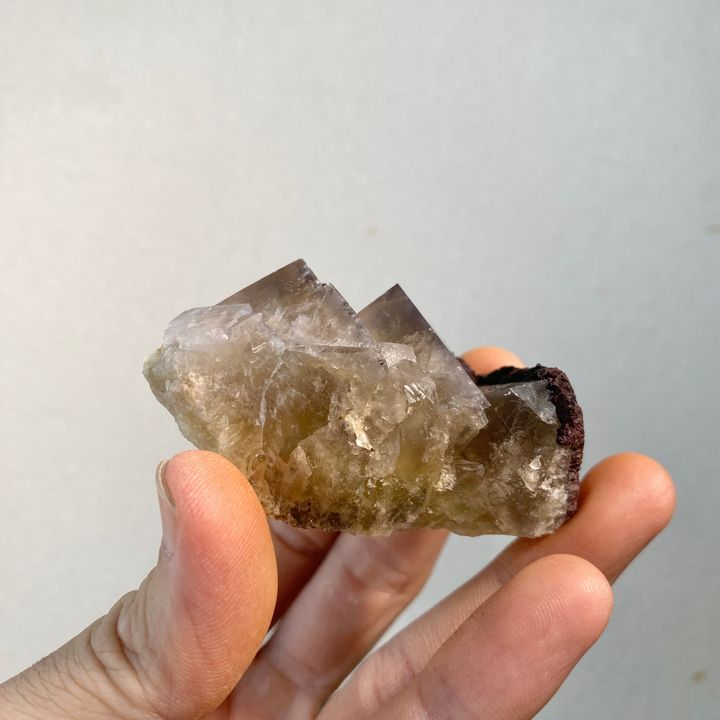 公牛靜脈｜英國日光螢石 23F03BVA9 (2)