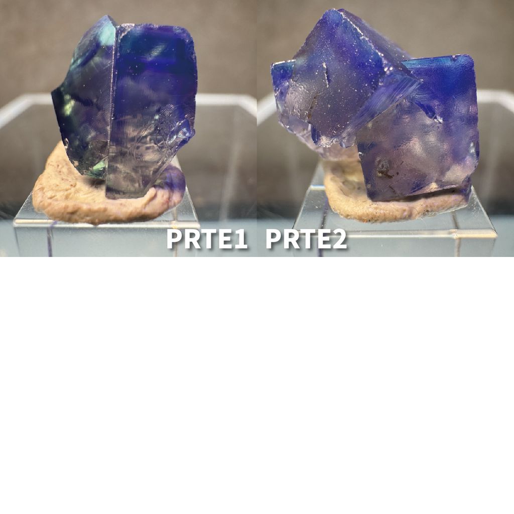 仙子洞迷你TWINS PRTE_工作區域 1