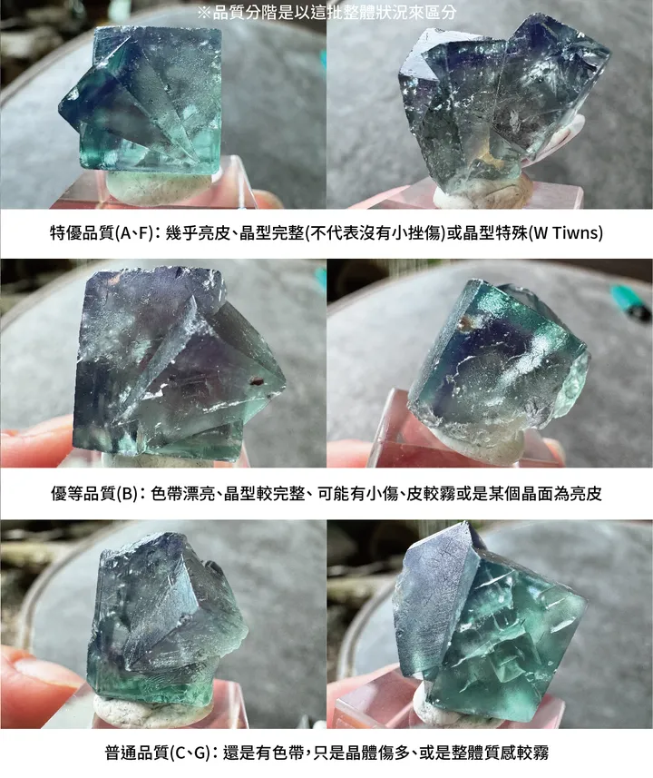 仙子洞迷你TWINS 說明-02