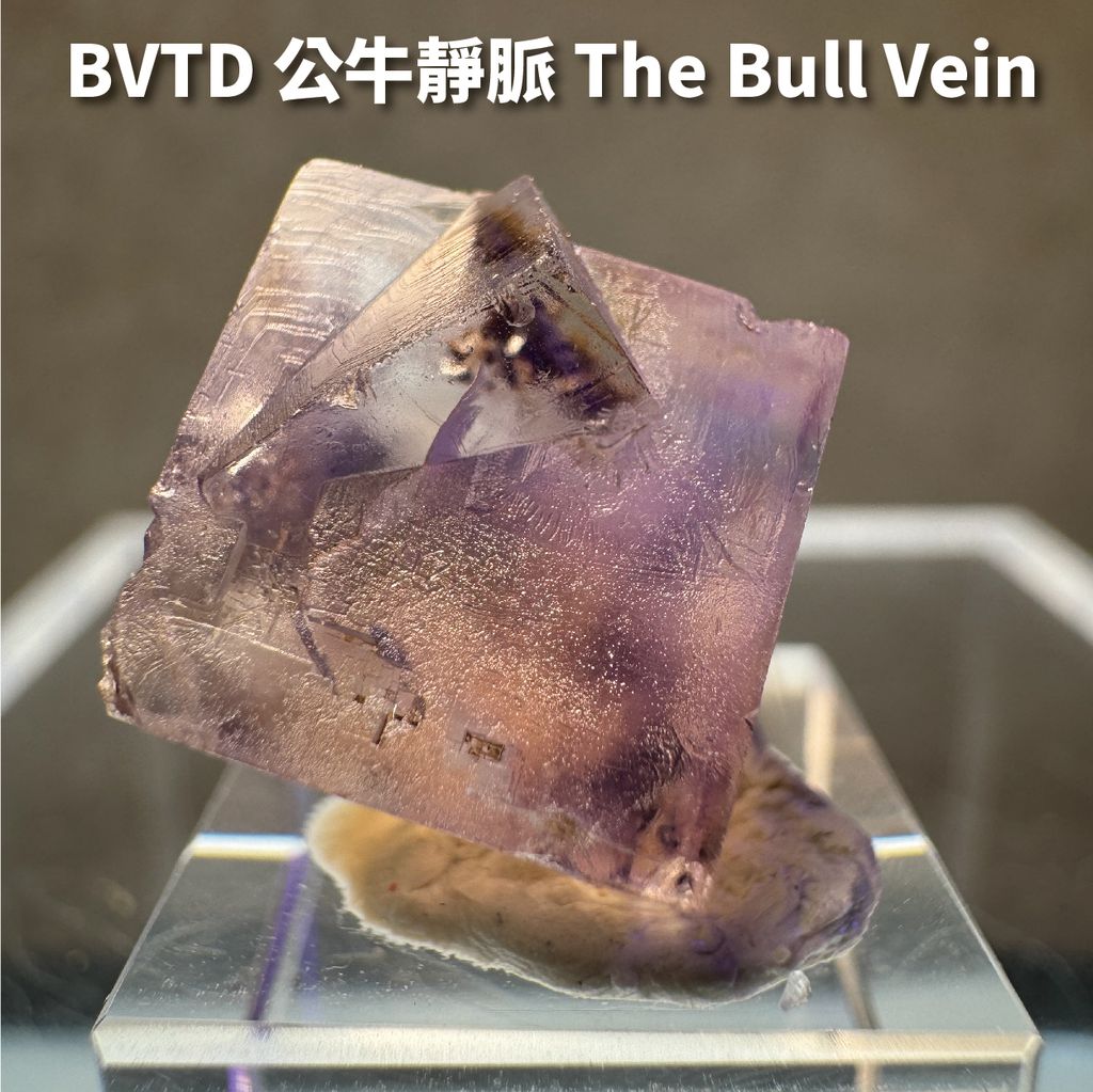 仙子洞迷你TWINS BVTD_工作區域 1 複本 2