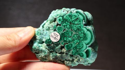 22G43C 97 2250 (2)