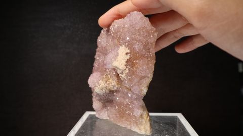 22H20D 219 1250-2
