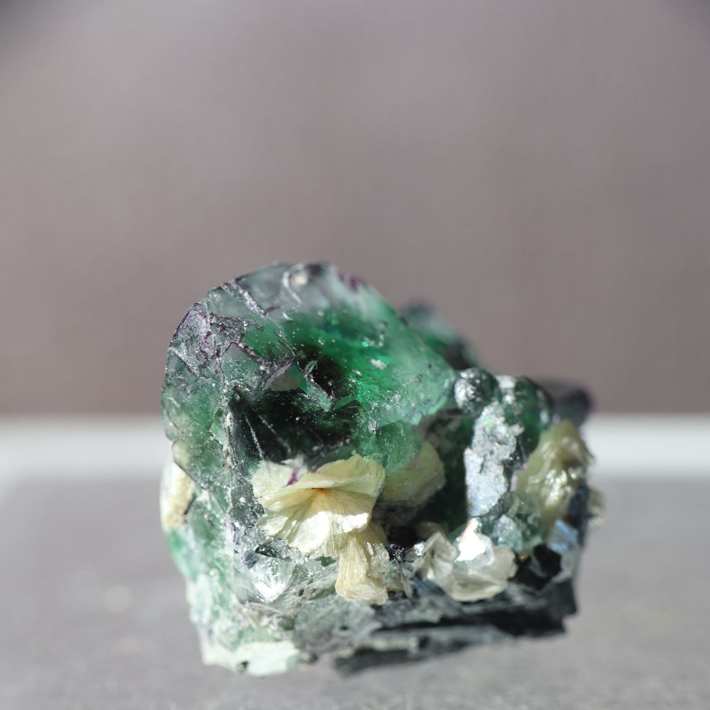 24D03C13 23.2 950 (2)