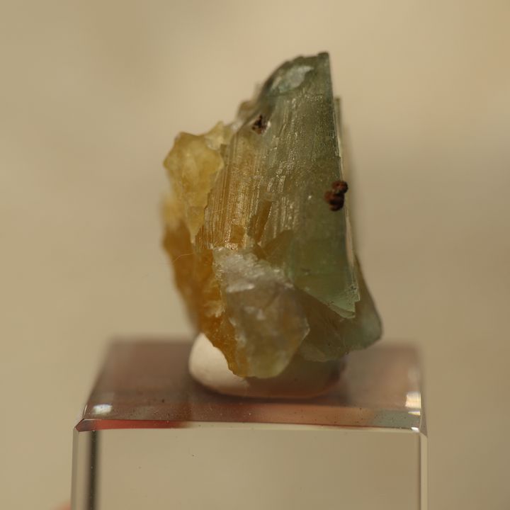 24J03B5 (8)