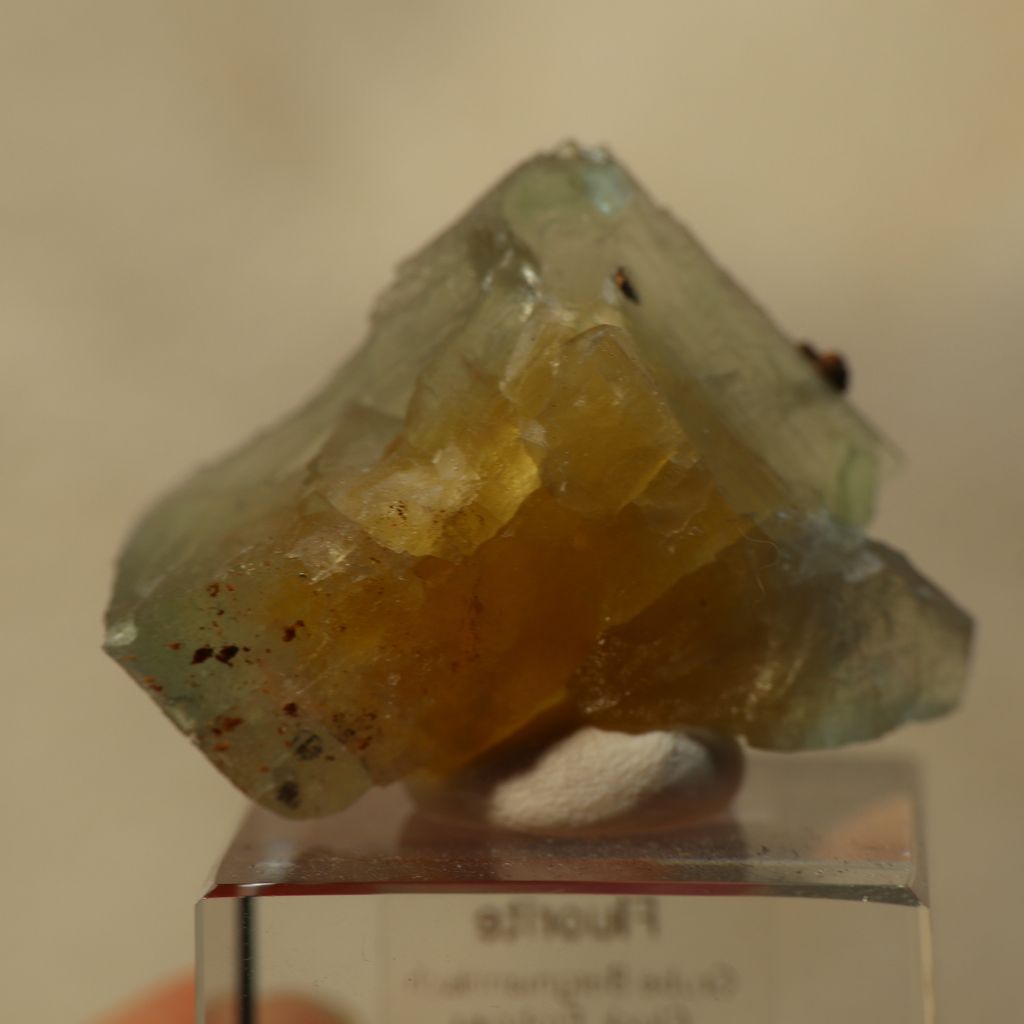 24J03B5 (9)