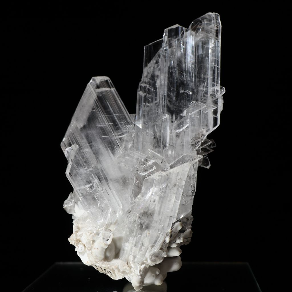 25B25 (1)