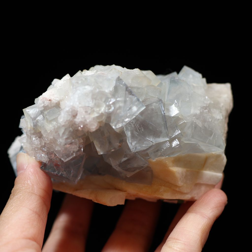 23J03B1 (5)